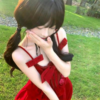 鸣鸿传